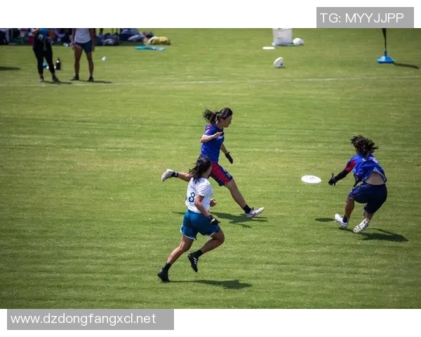 飞盘盛宴:深入了解成都飞盘队的团队精神与竞技意识