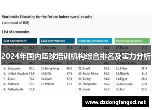 2024年国内篮球培训机构综合排名及实力分析